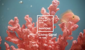 Colore dell’anno 2019: Living Coral